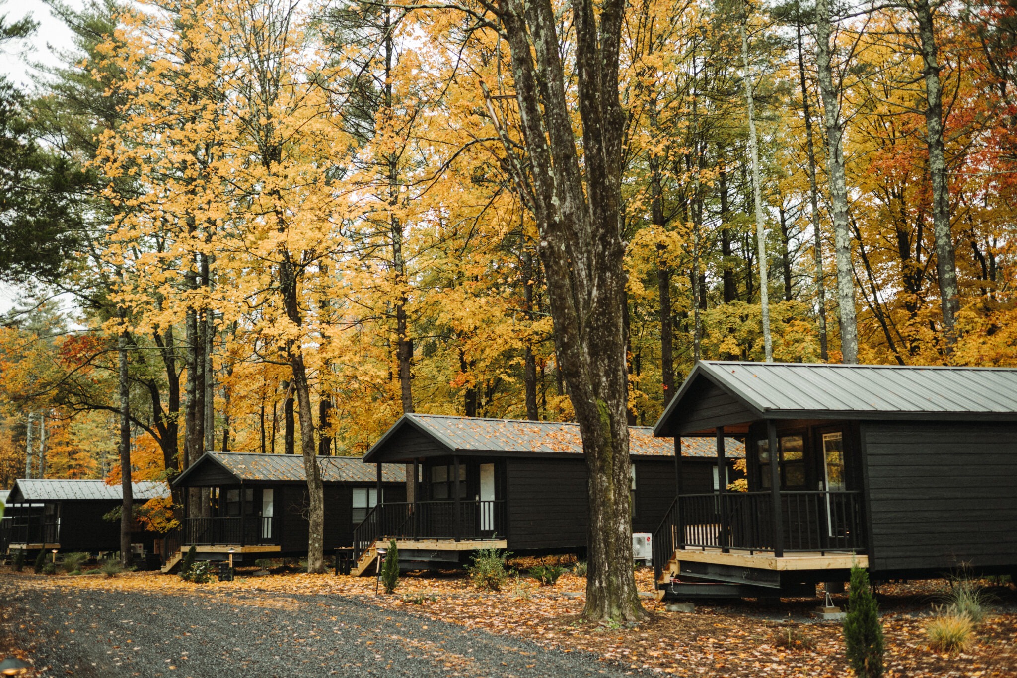 AutoCamp Catskills cabins among autumn trees
