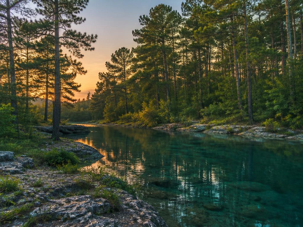 Illustrative image: tall pines along a clear river at dusk